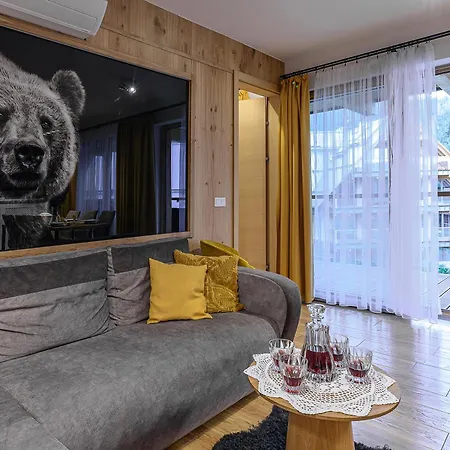 公寓 Visitzakopane - Royal Wellness & *
